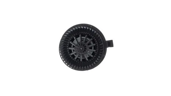 Interior Blower