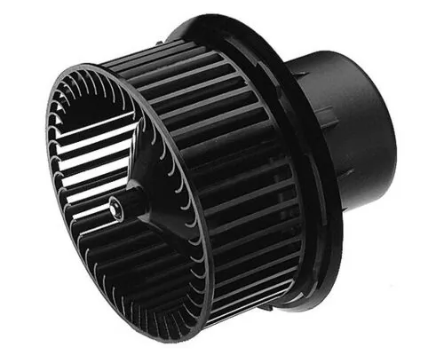Interior Blower