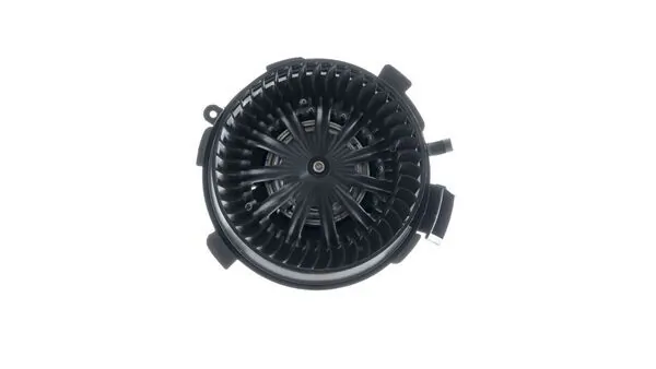 Interior Blower