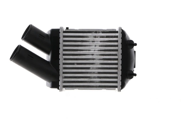 Charge Air Cooler