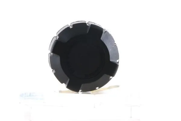 Cap, coolant tank