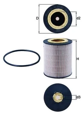 Fuel Filter