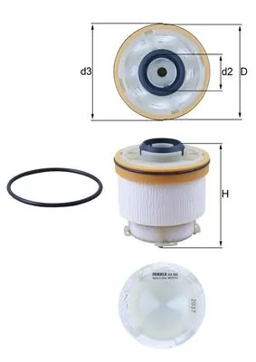 Fuel Filter