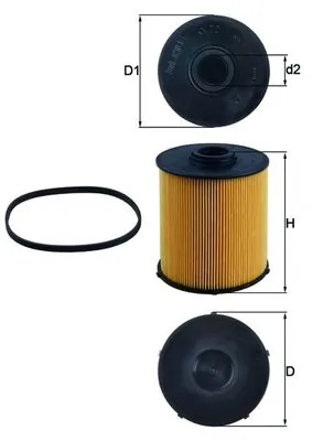 Fuel Filter