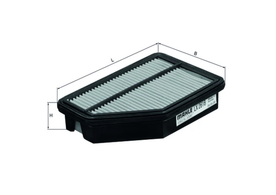 Air Filter