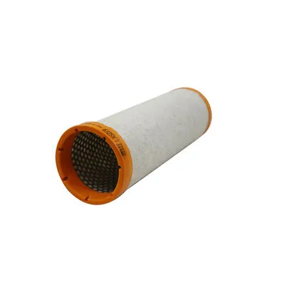 Secondary Air Filter
