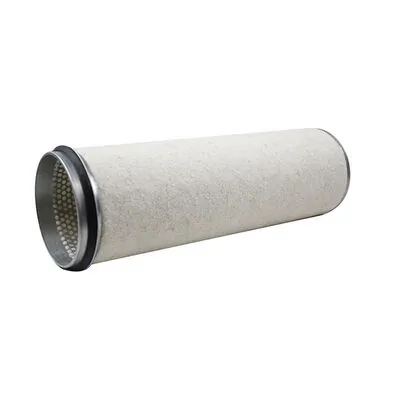 Secondary Air Filter