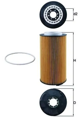 Oil Filter