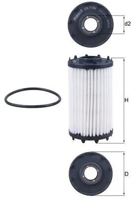 Oil Filter