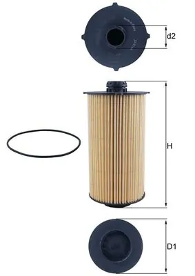 Oil Filter