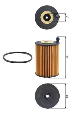 Oil Filter
