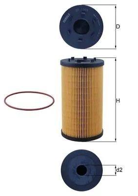 Oil Filter