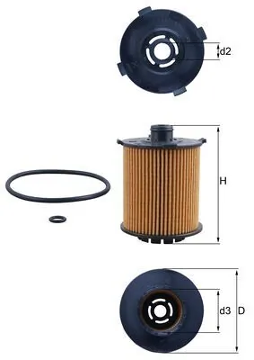 Oil Filter