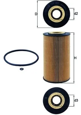 Oil Filter
