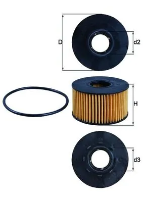 Oil Filter