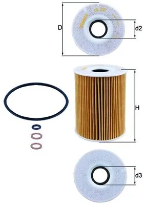 Oil Filter