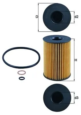 Oil Filter