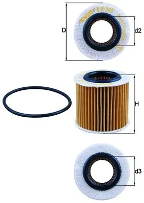 Oil Filter