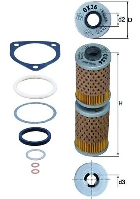 Oil Filter