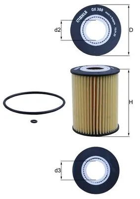 Oil Filter