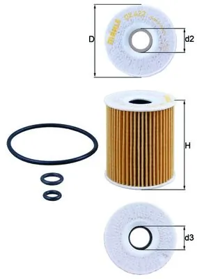 Oil Filter