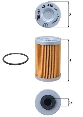 Oil Filter