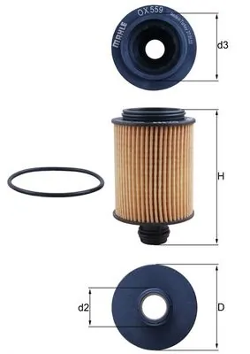 Oil Filter