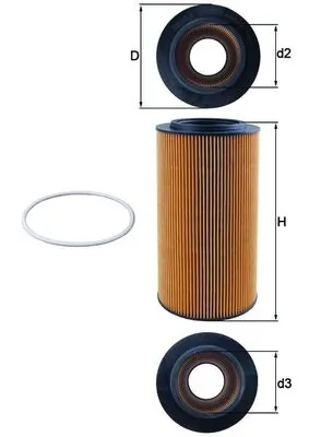 Oil Filter
