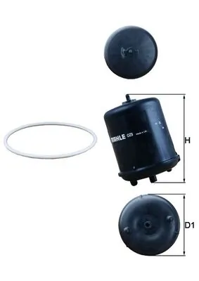 Oil Filter