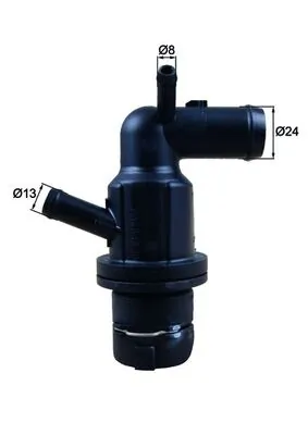 Thermostat, coolant