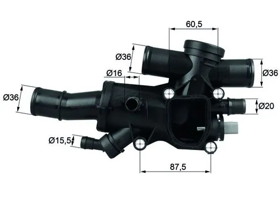 Thermostat, coolant