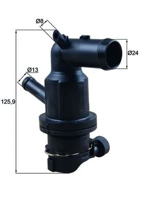 Thermostat, coolant