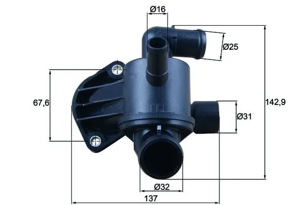 Thermostat, coolant