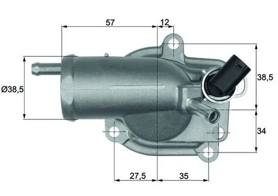 Thermostat, coolant