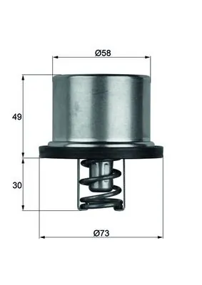 Thermostat, coolant