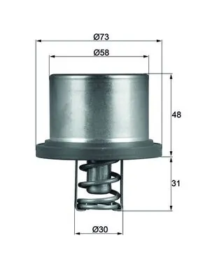 Thermostat, coolant