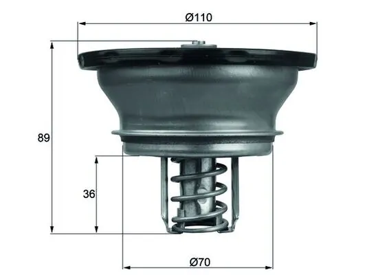 Thermostat, coolant