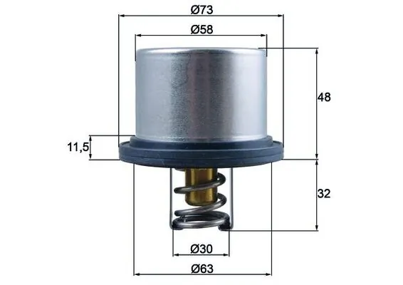 Thermostat, coolant