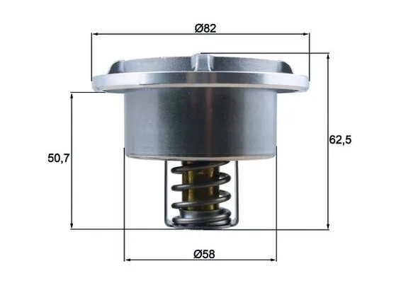 Thermostat, coolant