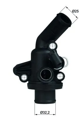 Thermostat, coolant