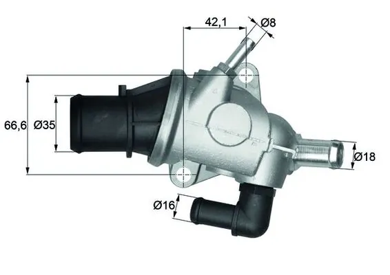 Thermostat, coolant