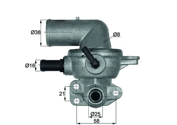 Thermostat, coolant