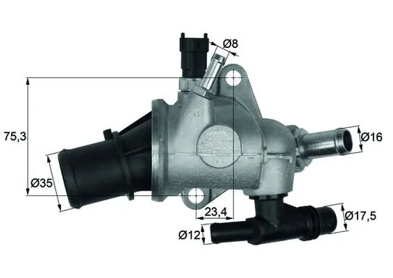 Thermostat, coolant