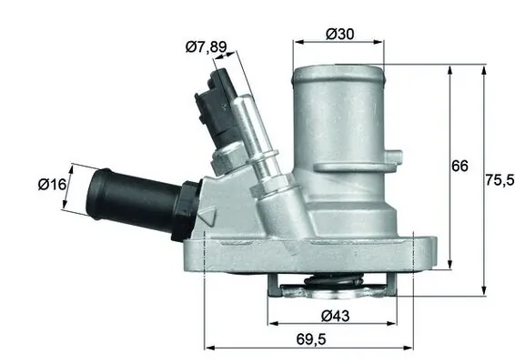 Thermostat, coolant