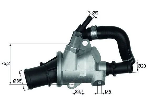 Thermostat, coolant