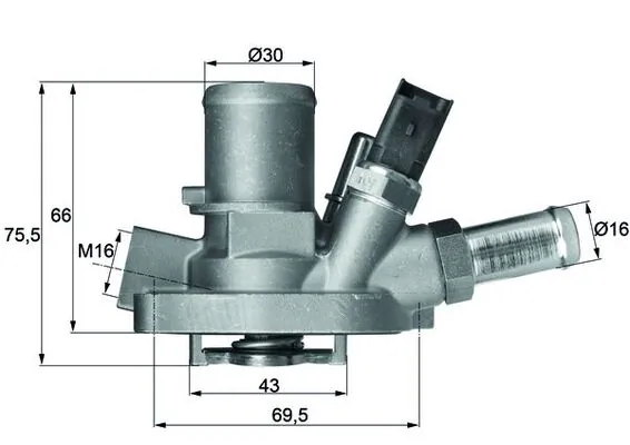Thermostat, coolant