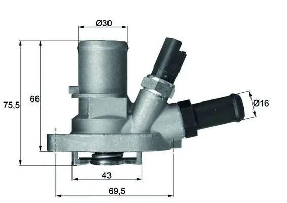 Thermostat, coolant
