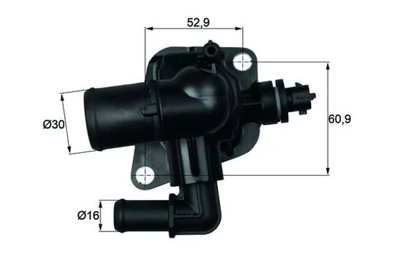 Thermostat, coolant