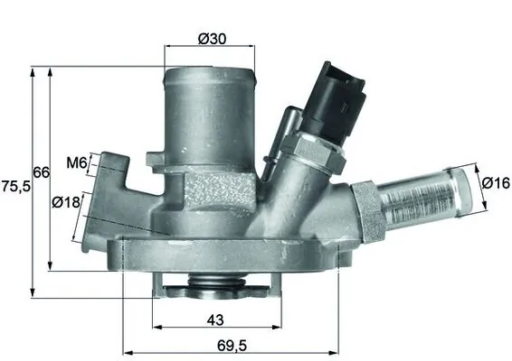 Thermostat, coolant