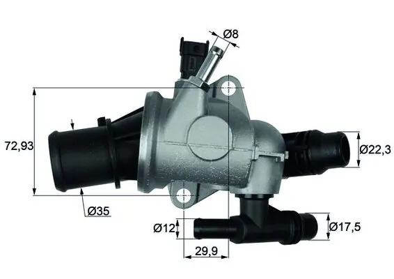 Thermostat, coolant